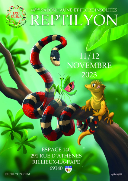 Jeu Concours